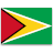 Guyana  application form for Germany residents.