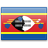Swaziland (Eswatini)  application form for Germany residents.